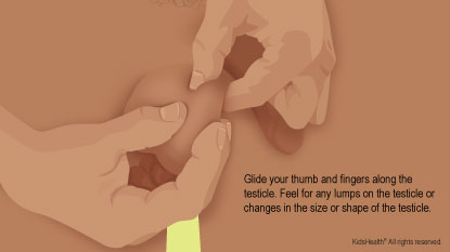 Free hand gliding the thumb and fingers along the testicle.