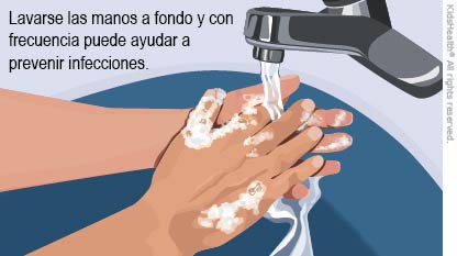 La ilustración muestra a una persona lavándose las manos con agua y jabón. Lavarse las manos a fondo y con frecuencia puede ayudar a prevenir infecciones.