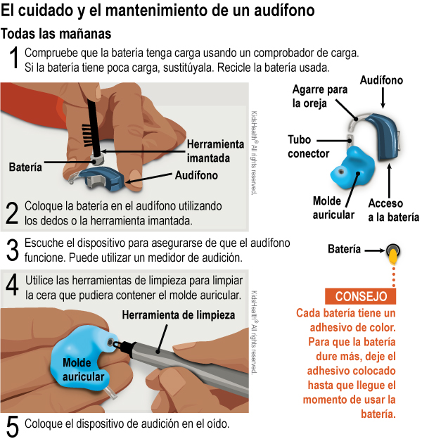 El cuidado y el mantenimiento de un audífono
Todas las mañanas
1. Compruebe que la batería tenga carga usando un comprobador de carga. Si la batería tiene poca carga, sustitúyala. Recicle la batería usada.
2. Coloque la batería en el audífono utilizando los dedos o la herramienta imantada.
3. Escuche el dispositivo para asegurarse de que el audífono funcione. Puede utilizar un medidor de audición. 
4. Utilice las herramientas de limpieza para limpiar la cera que pudiera contener el molde auricular.
5. Coloque el dispositivo de audición en el oído.

CONSEJO: Cada batería tiene un adhesivo de color. Para que la batería dure más, deje el adhesivo colocado hasta que llegue el momento de usar la batería.
