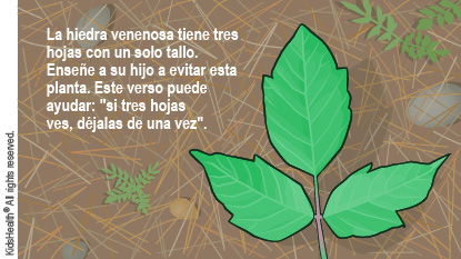 La hiedra venenosa tiene tres hojas con un solo tallo. Enseñe a su hijo a evitar esta planta. Este verso puede ayudar: